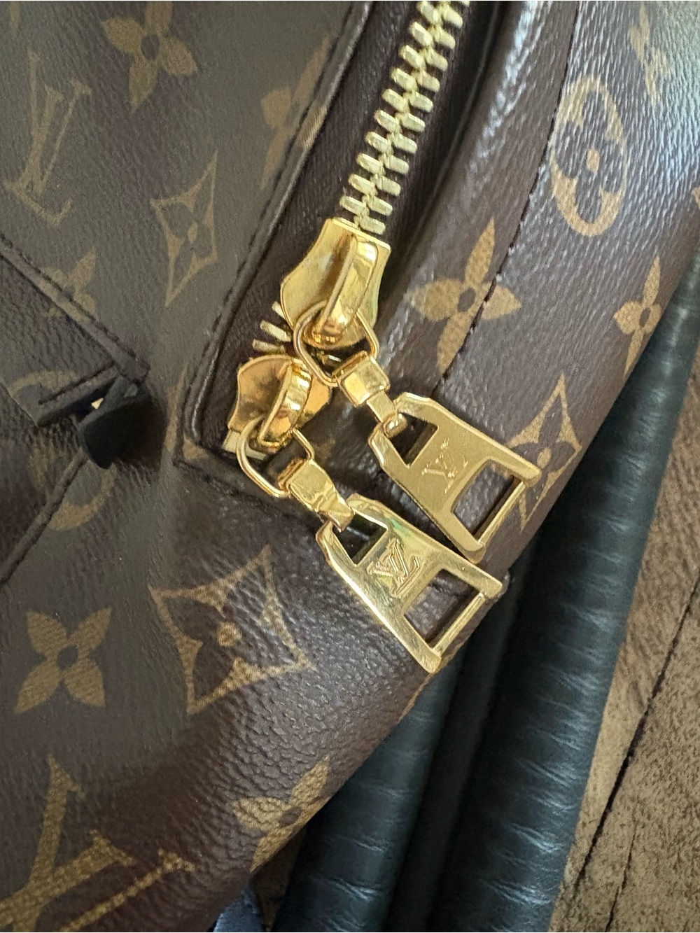 Louis Vuitton Monogram Canvas Palm Springs Backpack PM - Picture 3 of 16